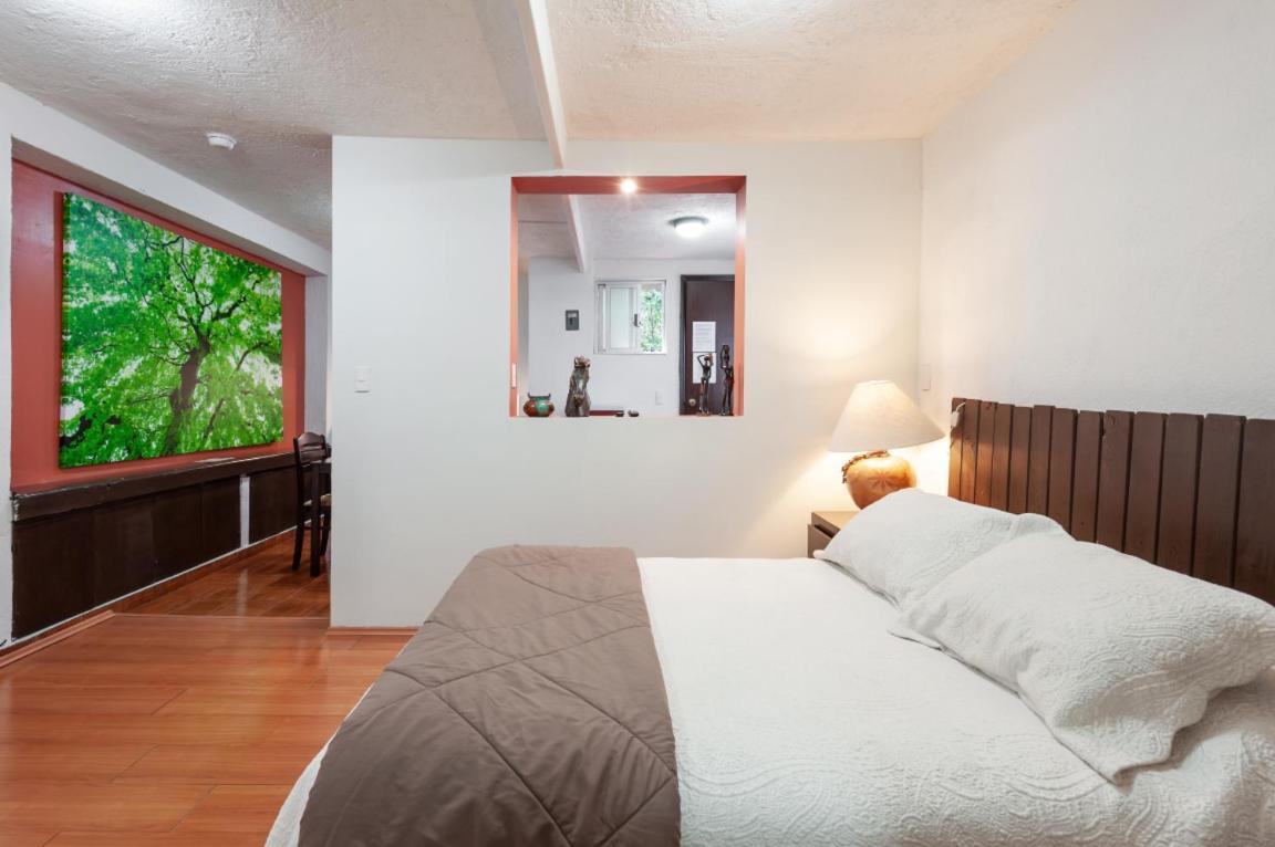Suite 5A, Altavista, Garden House, Welcome To San Angel Μεξικό Εξωτερικό φωτογραφία