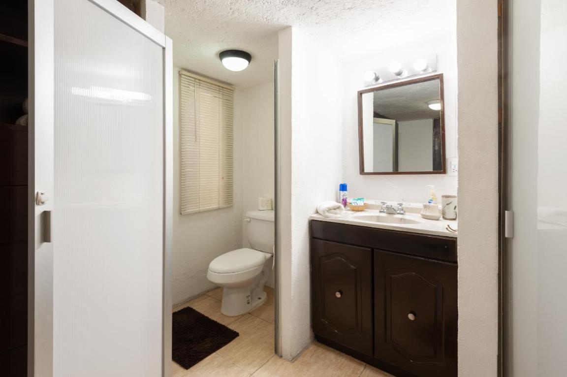 Suite 5A, Altavista, Garden House, Welcome To San Angel Μεξικό Εξωτερικό φωτογραφία