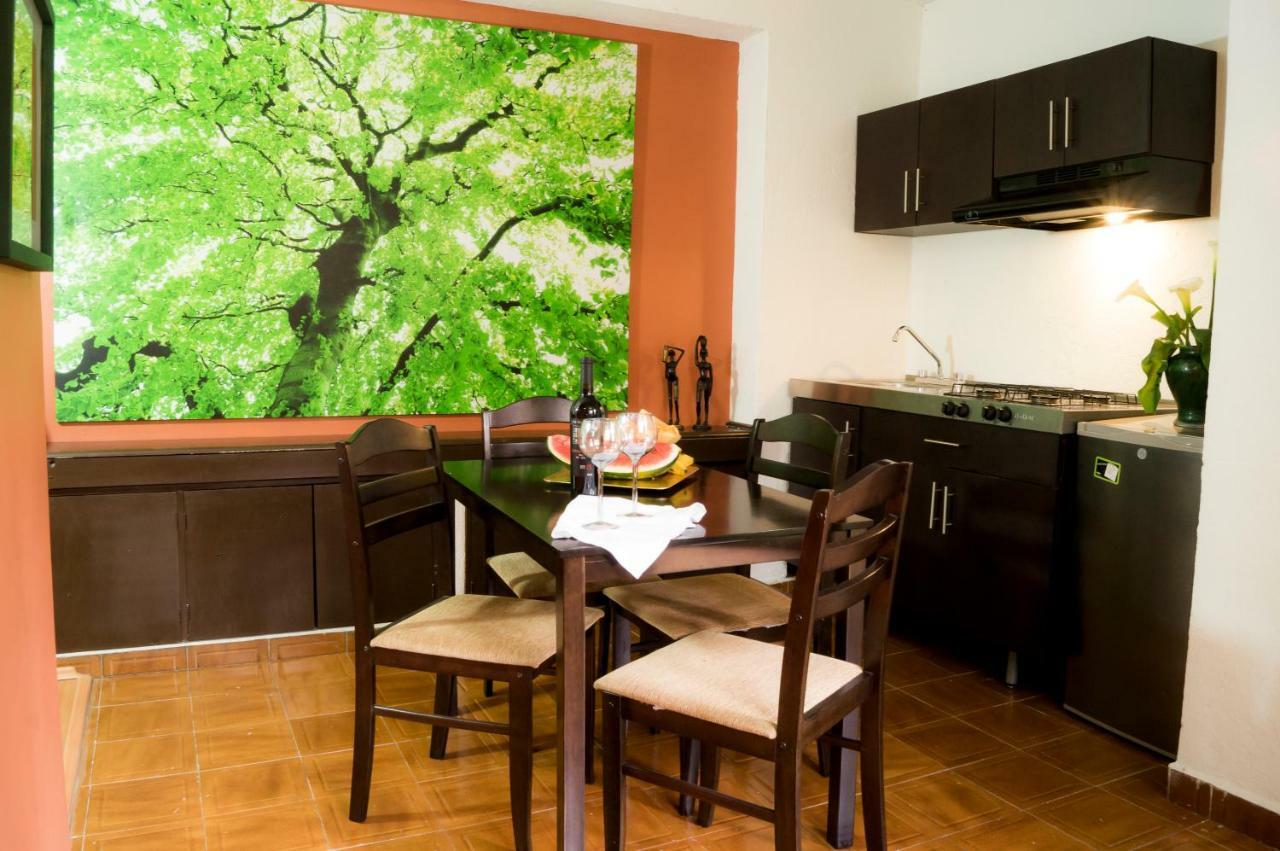 Suite 5A, Altavista, Garden House, Welcome To San Angel Μεξικό Εξωτερικό φωτογραφία