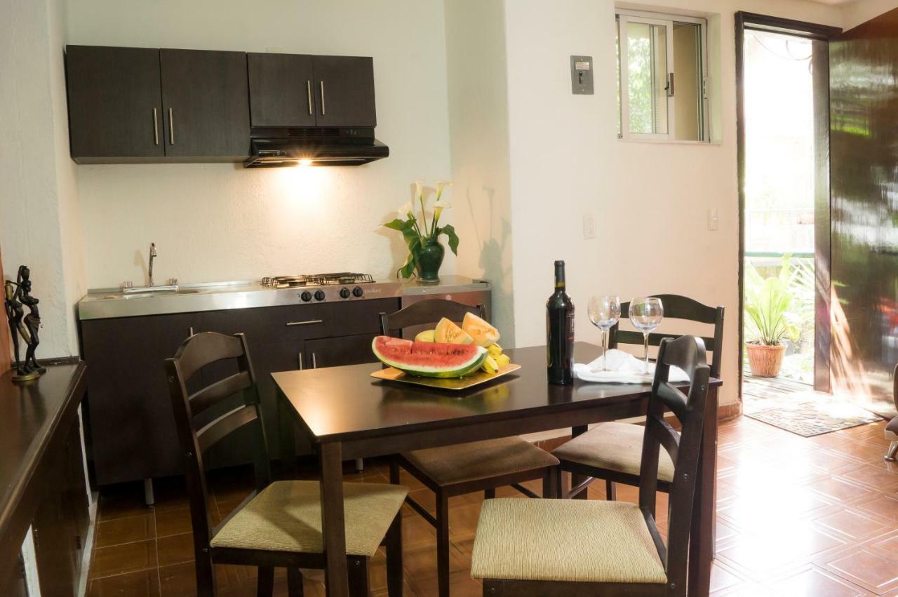 Suite 5A, Altavista, Garden House, Welcome To San Angel Μεξικό Εξωτερικό φωτογραφία