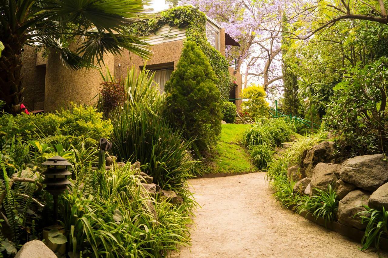 Suite 5A, Altavista, Garden House, Welcome To San Angel Μεξικό Εξωτερικό φωτογραφία