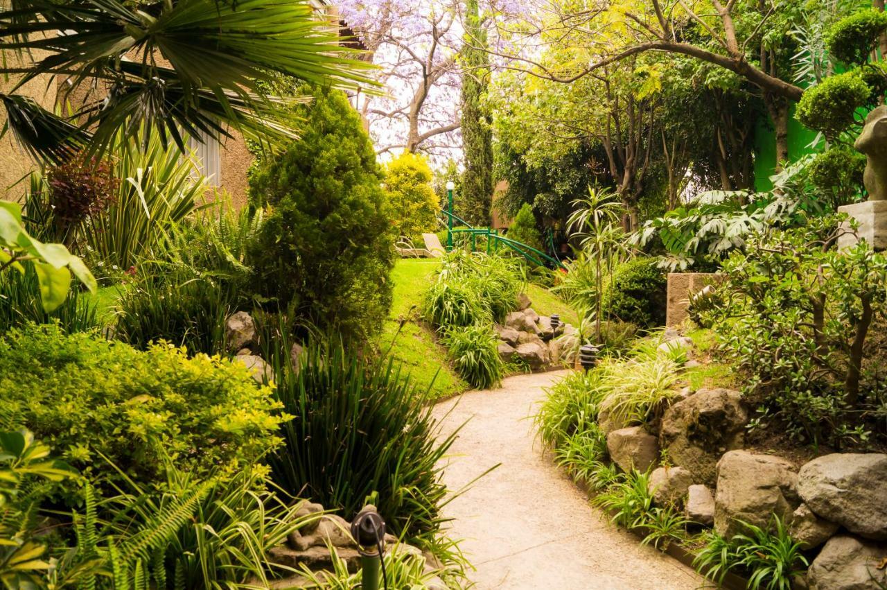 Suite 5A, Altavista, Garden House, Welcome To San Angel Μεξικό Εξωτερικό φωτογραφία